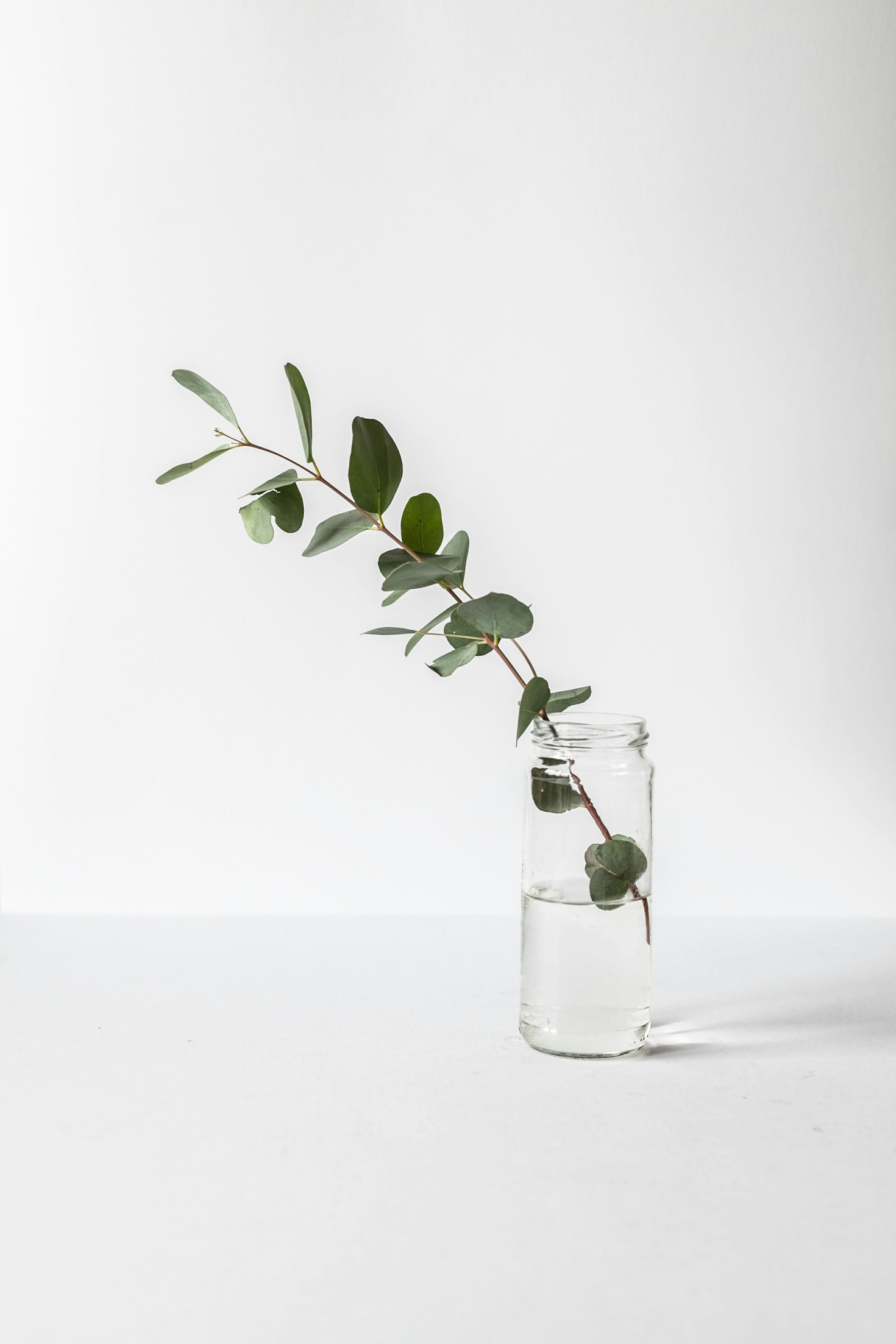 Sådan balancerer du sundhed og minimalisme